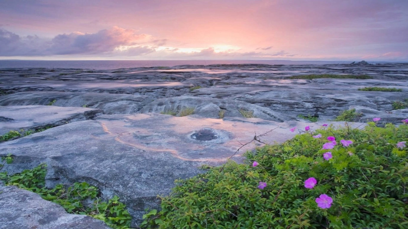 treacys-west-county-burren-01