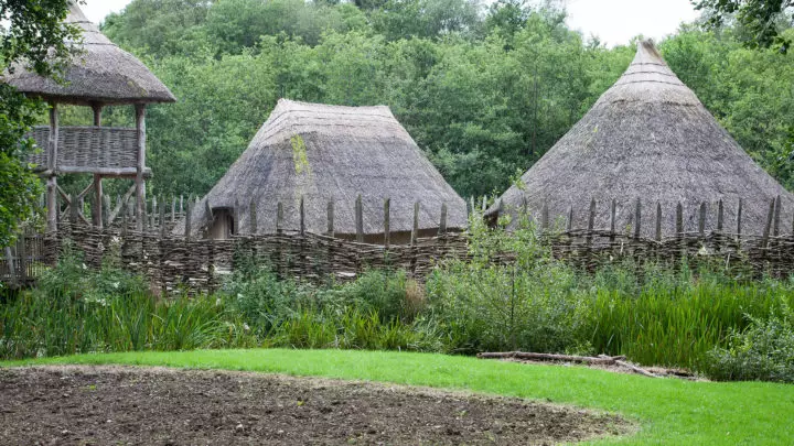 treacys-west-county-craggaunowen-02