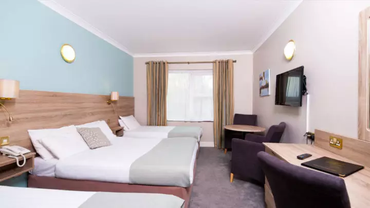 treacys-west-county-family-triple-duckegg-01