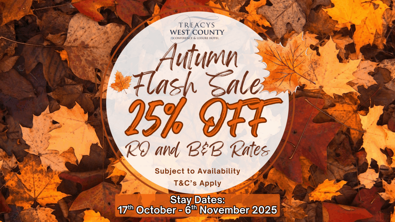 Flash and January Sale (Website Medium Banner landscape) (3)