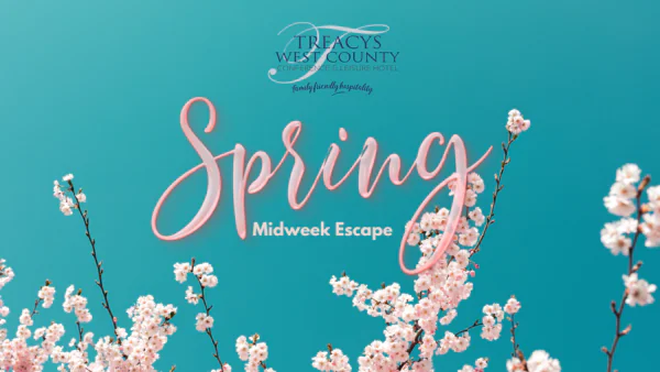 Flash and January Sale (Website Medium Banner landscape) (1)